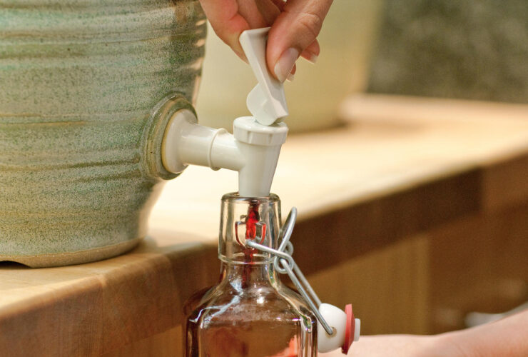 Σπιτικό ξίδι: 5 παραδοσιακοί τρόποι να το φτιάξεις στο σπίτι – από μούστο μέχρι ρόδι