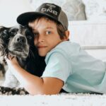 κατοικίδια