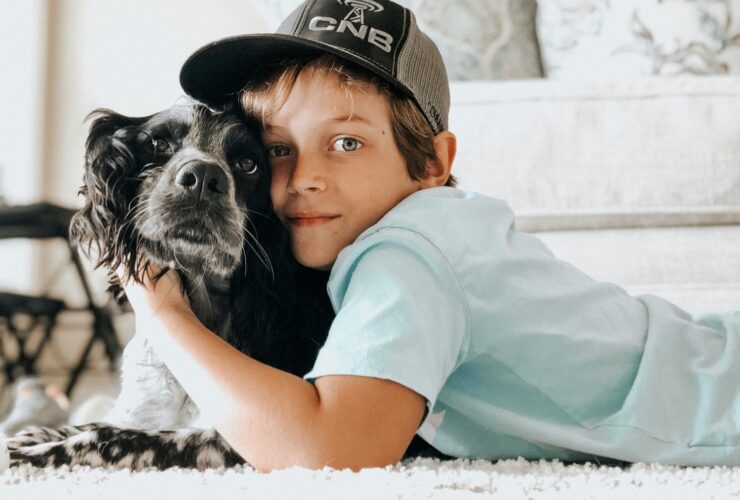 κατοικίδια