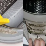 Πώς να αφαιρέσετε τη μούχλα από το λάστιχο του πλυντηρίου ρούχων με ένα απλό σπιτικό κόλπο