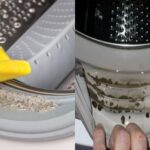 Πώς να αφαιρέσετε τη μούχλα από το λάστιχο του πλυντηρίου ρούχων με ένα απλό σπιτικό κόλπο