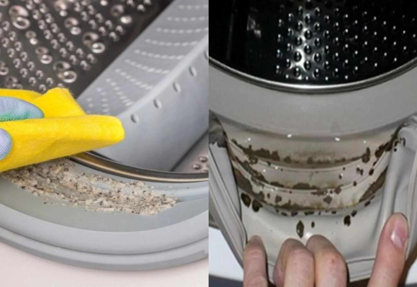Πώς να αφαιρέσετε τη μούχλα από το λάστιχο του πλυντηρίου ρούχων με ένα απλό σπιτικό κόλπο