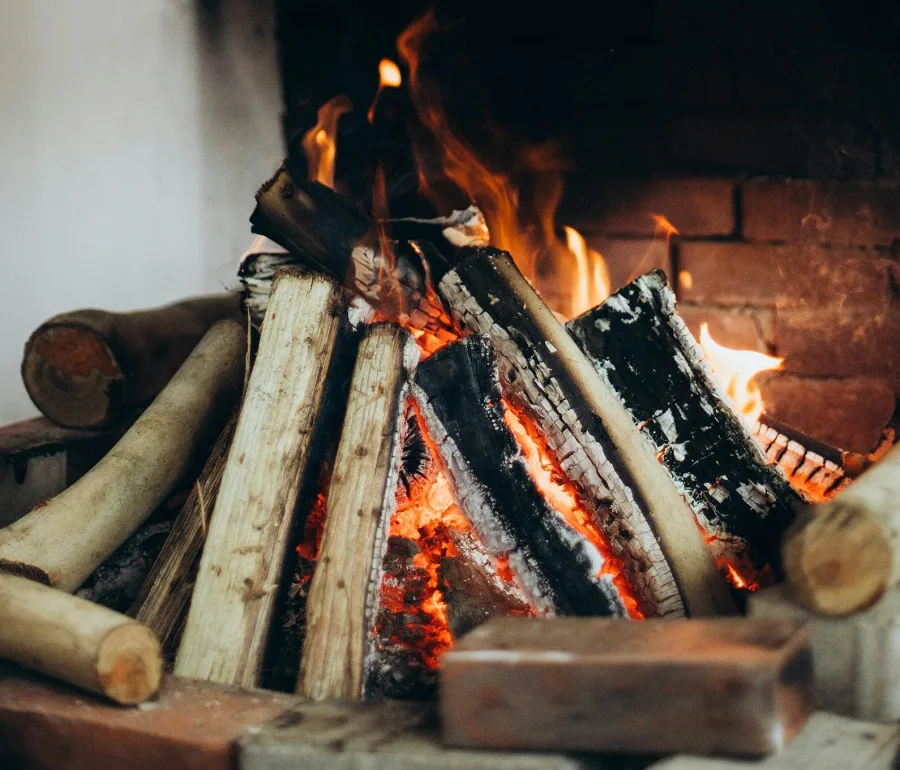 Δρυς (βελανιδιά)