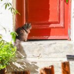 Πότε θα φανεί η μείωση του ΕΝΦΙΑ για τα χωριά κάτω των 1.500 κατοίκων