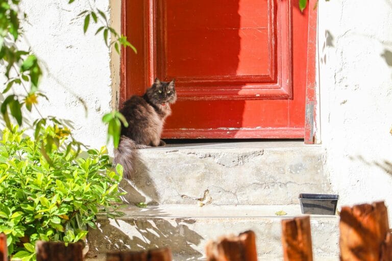 Πότε θα φανεί η μείωση του ΕΝΦΙΑ για τα χωριά κάτω των 1.500 κατοίκων