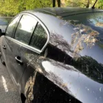Πουλιά και αυτοκίνητο: Η «έξυπνη» μέθοδος για να μην ξαναλερώσουν το όχημά σας