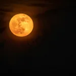Πανσέληνος Νοεμβρίου 2025: Πότε θα λάμψει το φεγγάρι του κάστορα