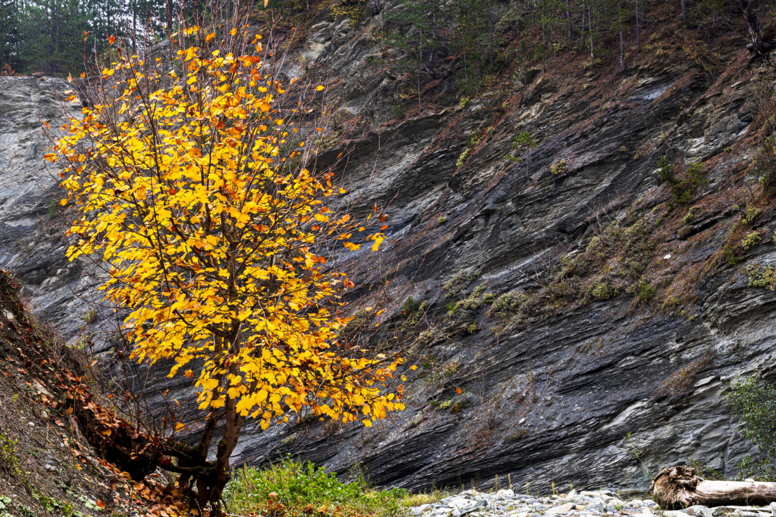 Πώς θα φωτογραφίσεις το φθινόπωρο σαν επαγγελματίας: τοπία, πορτρέτα και ζεστά χρώματα χωρίς λάθη