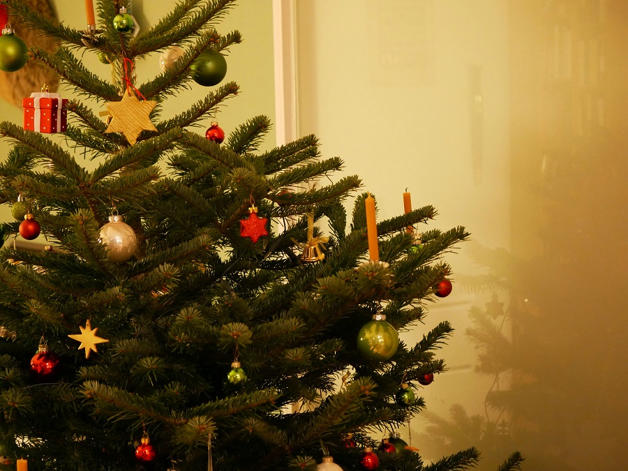 χριστουγεννιάτικο δέντρο