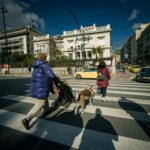 Πώς κάμερες ΑΙ θα «μοιράζουν» κλήσεις στα λεωφορεία