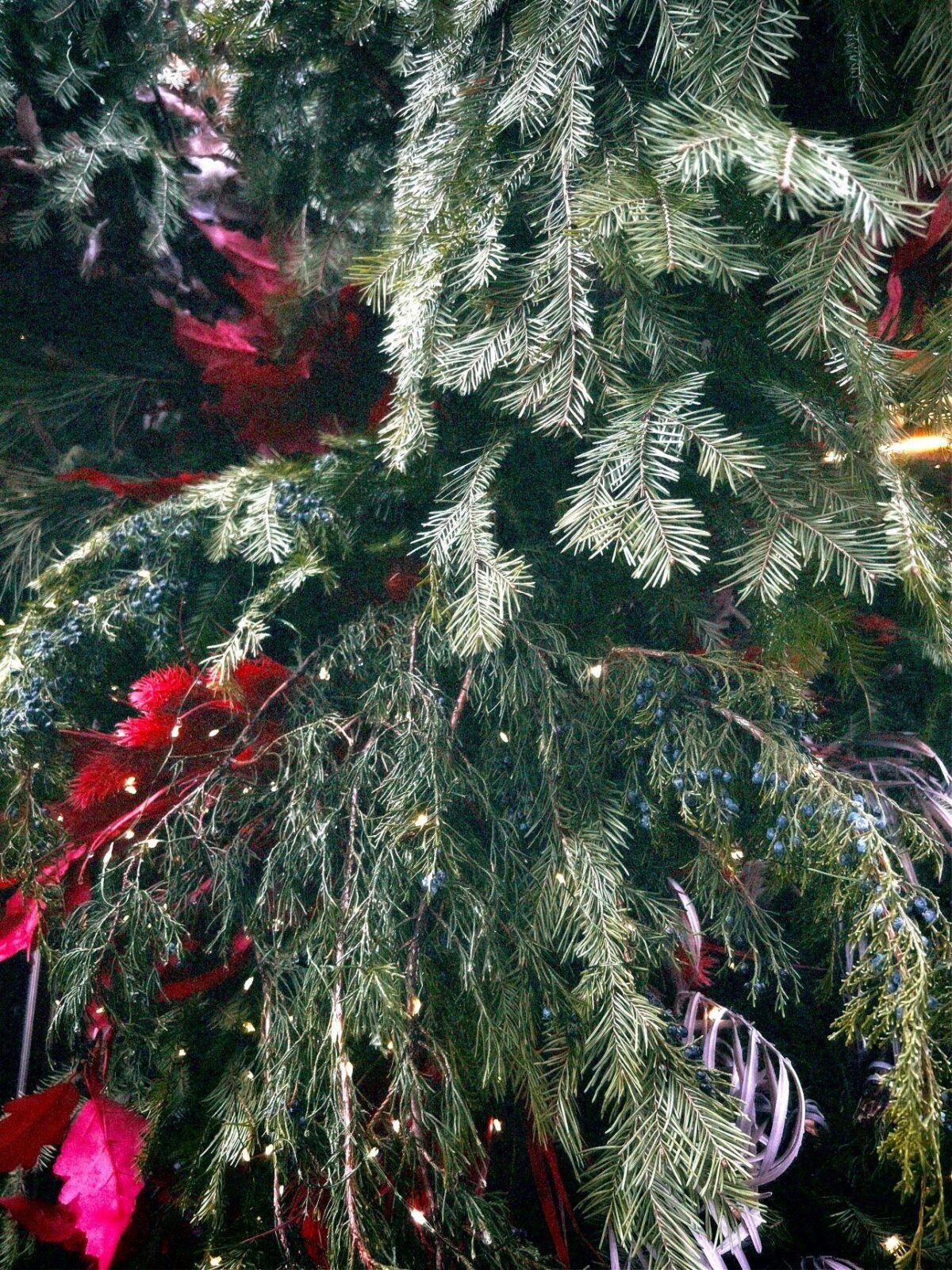 Έτσι θα στολίσεις το χριστουγεννιάτικο δέντρο σαν decorator – Το μυστικό με τα μεγάλα στολίδια & τα σωστά χρώματα