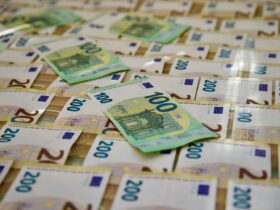 ΔΗΜΟΣΙΟΙ ΥΠΑΛΛΗΛΟΙ