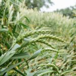 Κτηματολόγιο: Όσα πρέπει να ξέρετε για τις ψηφιακές πράξεις και τους ηλεκτρονικούς χάρτες