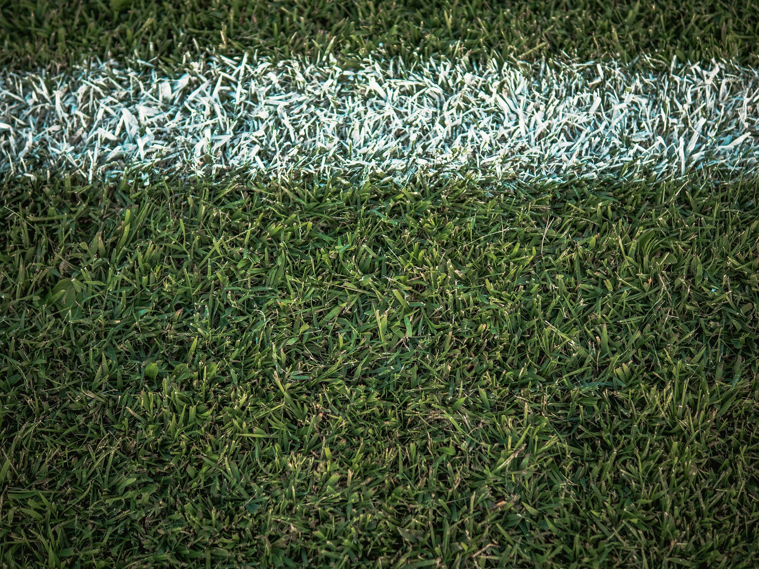 Παναθηναϊκός ΑΕΚ: Το κανάλι και η ώρα του ντέρμπι