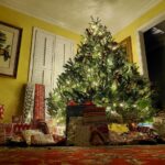 Έτσι θα στολίσεις το χριστουγεννιάτικο δέντρο σαν decorator – Το μυστικό με τα μεγάλα στολίδια & τα σωστά χρώματα