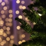 Πότε ξεστολίζουμε το Χριστουγεννιάτικο δέντρο; Οι 3 ημερομηνίες και η παράδοση