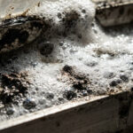 Μαγειρική σόδα στα παράθυρα: Το κόλπο του «Ηφαιστείου» που εξαφανίζει τη μαύρη μούχλα σε 3 λεπτά (Χωρίς τρίψιμο)