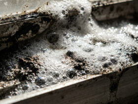 Μαγειρική σόδα στα παράθυρα: Το κόλπο του «Ηφαιστείου» που εξαφανίζει τη μαύρη μούχλα σε 3 λεπτά (Χωρίς τρίψιμο)