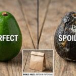 Ούτε στο ψυγείο, ούτε στον πάγκο: Το μεγάλο λάθος που κάνουμε όλοι με το αβοκάντο