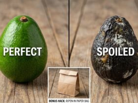 Ούτε στο ψυγείο, ούτε στον πάγκο: Το μεγάλο λάθος που κάνουμε όλοι με το αβοκάντο