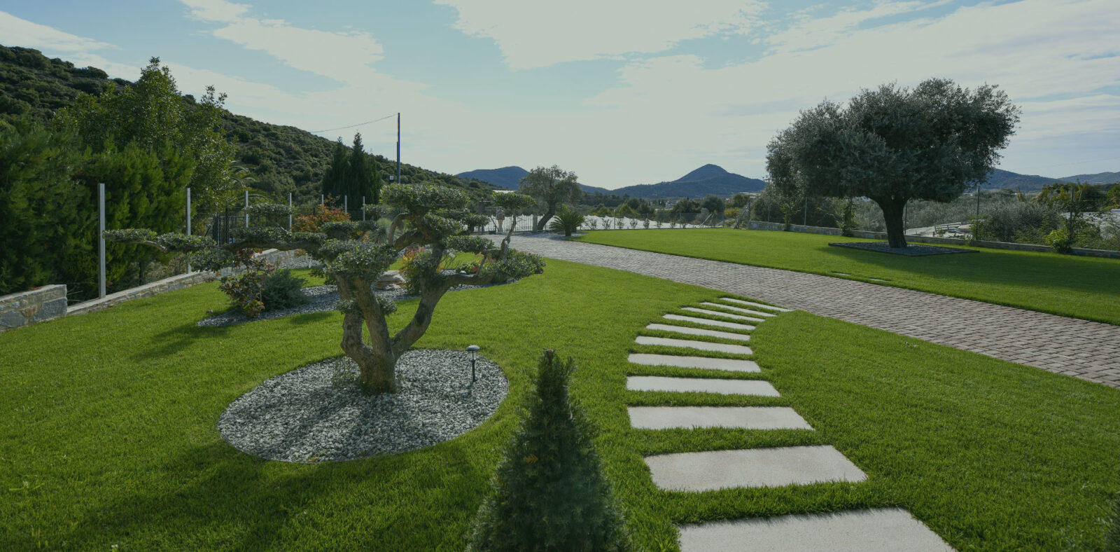 7 λάθη στον κήπο που καταστρέφουν τα φυτά σας (και πώς να τα διορθώσετε)