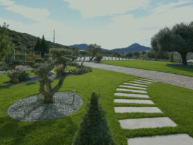 7 λάθη στον κήπο που καταστρέφουν τα φυτά σας (και πώς να τα διορθώσετε)