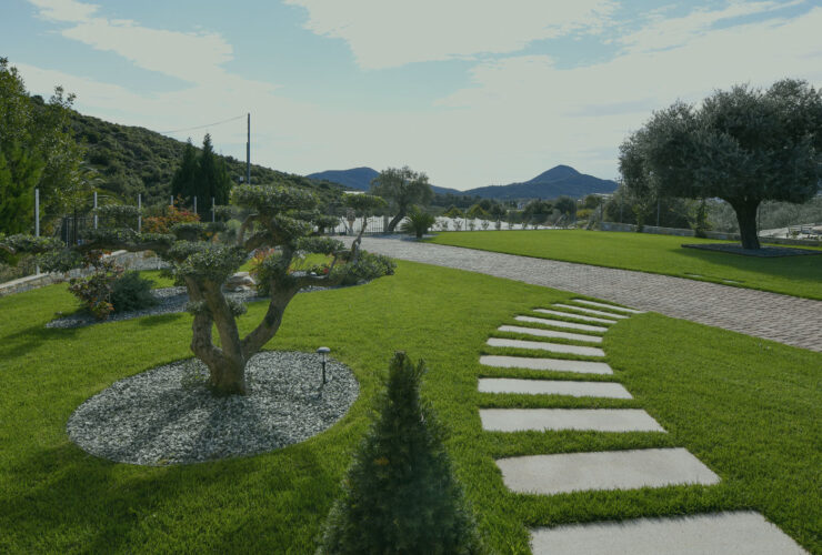 7 λάθη στον κήπο που καταστρέφουν τα φυτά σας (και πώς να τα διορθώσετε)