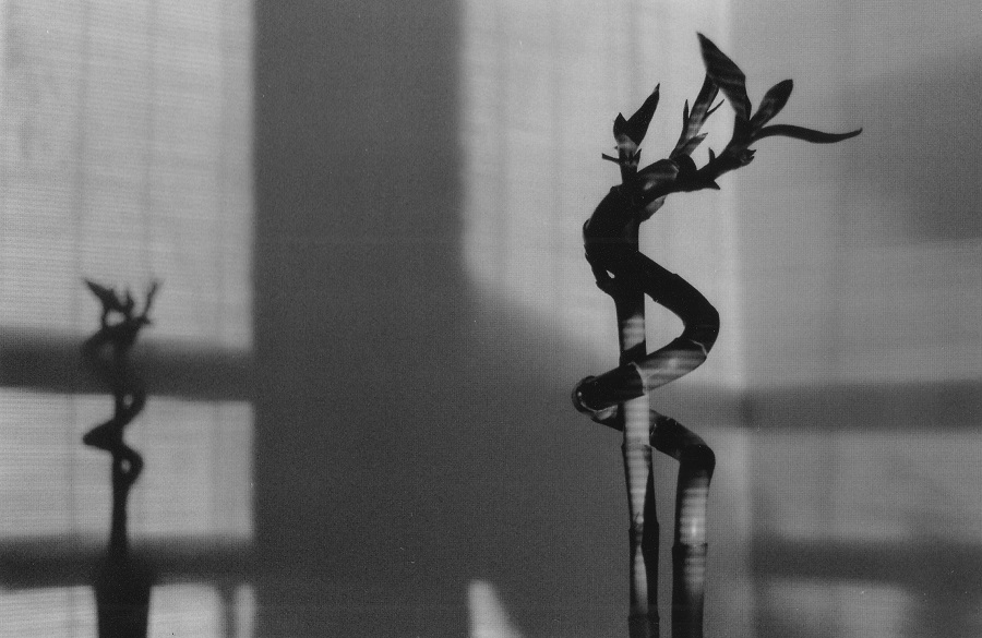 διακόσμηση