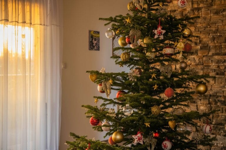 Ποιοι κινδυνεύουν από το αληθινό χριστουγεννιάτικο έλατο μέσα στο σπίτι;