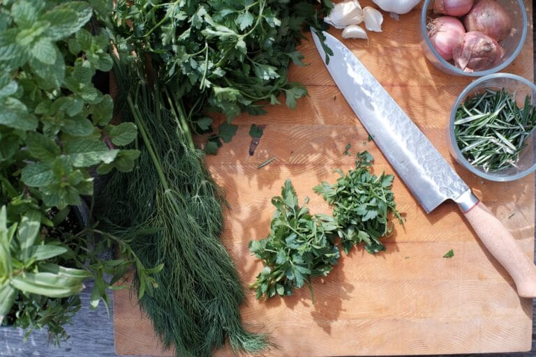 Πώς να κρατήσετε φρέσκα τα μυρωδικά – Μυστικά για μαϊντανό, άνηθο, δυόσμο & βασιλικό που διαρκούν μέρες