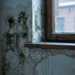 Γιατί δεν πρέπει να κοιμάστε με ανοιχτό παράθυρο τον χειμώνα (Ούτε καν στην ανάκλιση)