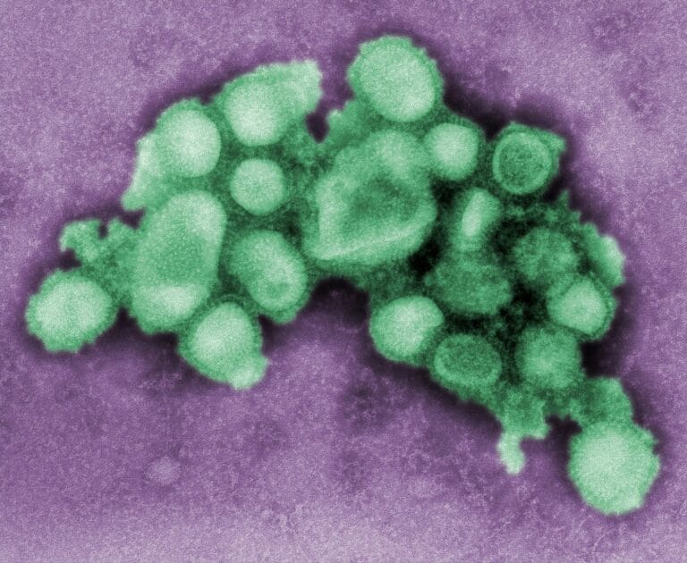 Tamiflu για την Γρίπη Α προληπτικά; Τι ισχύει και πότε ενδείκνυται