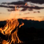 Κάψιμο κλαδιών 2026: Πότε επιτρέπονται οι φωτιές