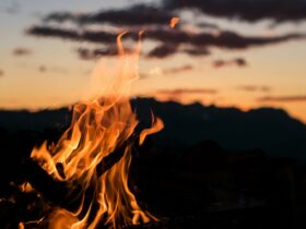 Κάψιμο κλαδιών 2026: Πότε επιτρέπονται οι φωτιές