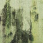 Πώς να απαλλαγείτε από μούχλα και «άσπρη σκόνη» στους τοίχους