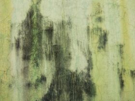 Πώς να απαλλαγείτε από μούχλα και «άσπρη σκόνη» στους τοίχους