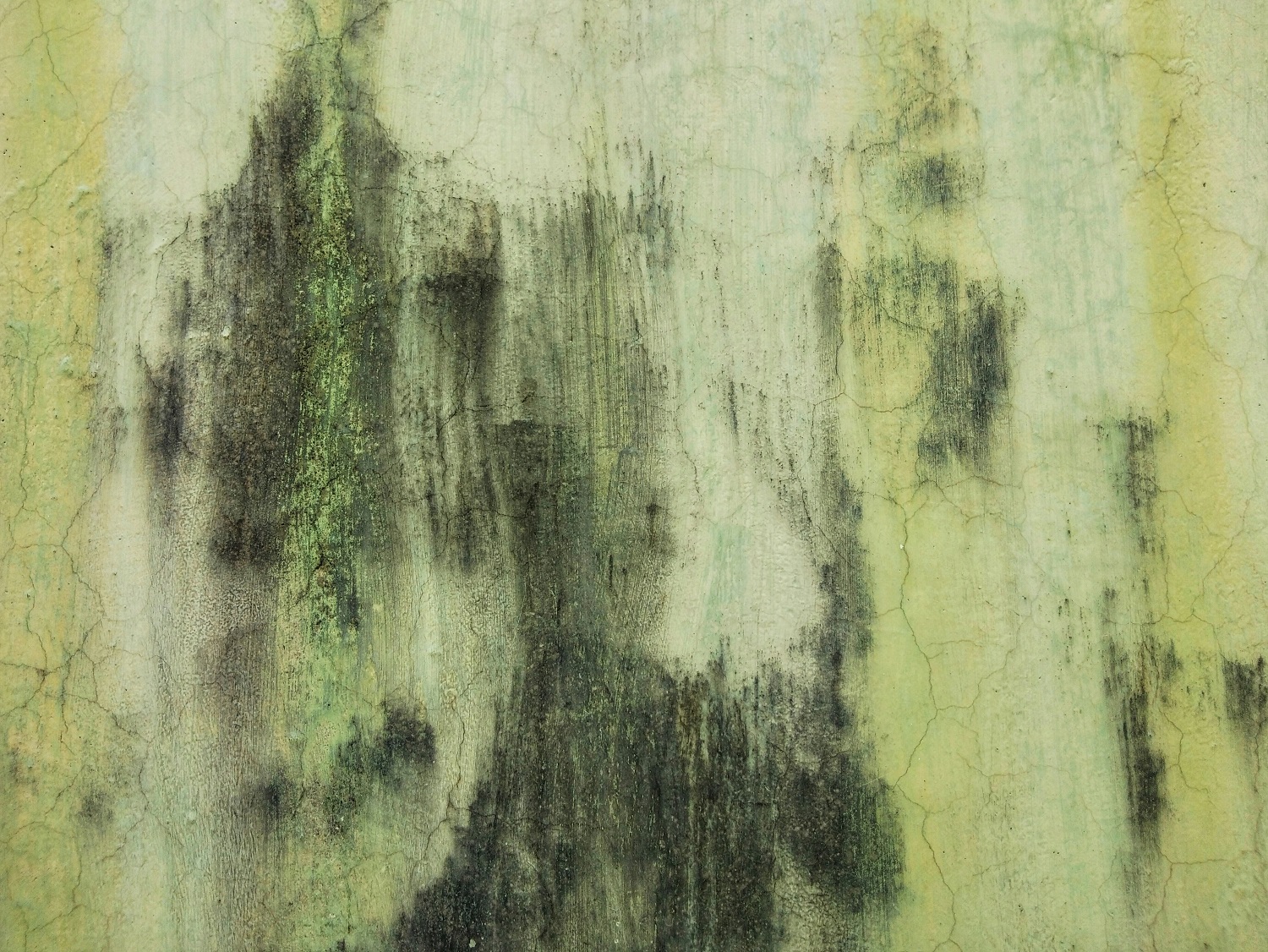 Πώς να απαλλαγείτε από μούχλα και «άσπρη σκόνη» στους τοίχους