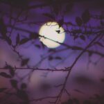 Πότε έχει Πανσέληνο το 2026: Αναλυτικό ημερολόγιο & φαινόμενα