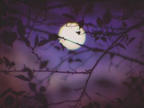 Πότε έχει Πανσέληνο το 2026: Αναλυτικό ημερολόγιο & φαινόμενα