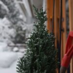 Ξεχάστε το αλάτι: Λιώστε τον πάγο με 3 υλικά που έχετε ήδη