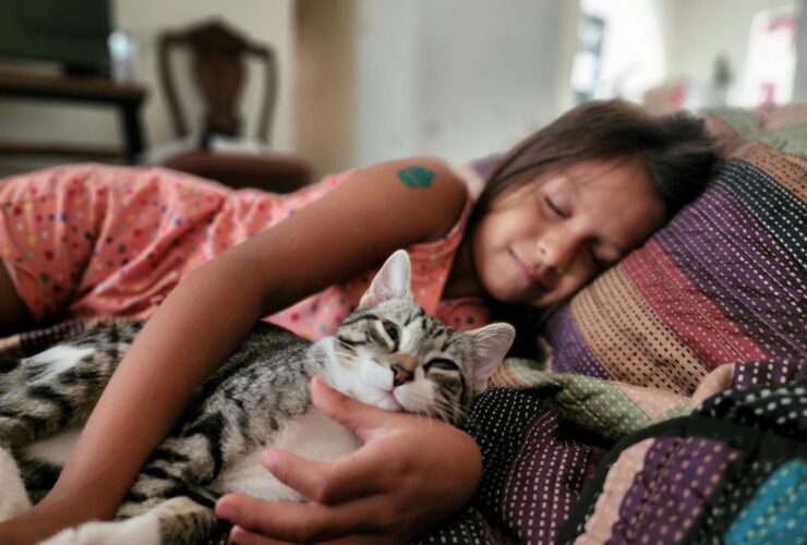 Μεσημεριανός Ύπνος: Πώς 45 λεπτά «κάνουν format» στον εγκέφαλο