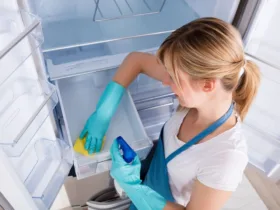 Πώς να καθαρίσετε το λάστιχο του ψυγείου: Το μυστικό για οικονομία και υγιεινή