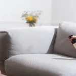 Φυσικό αποσμητικό χώρου με βότανα και εσπεριδοειδή: Η συνταγή για σπίτι που μοσχοβολάει υγεία