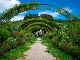 ΦΥΤΑ, ΚΗΠΟΣ