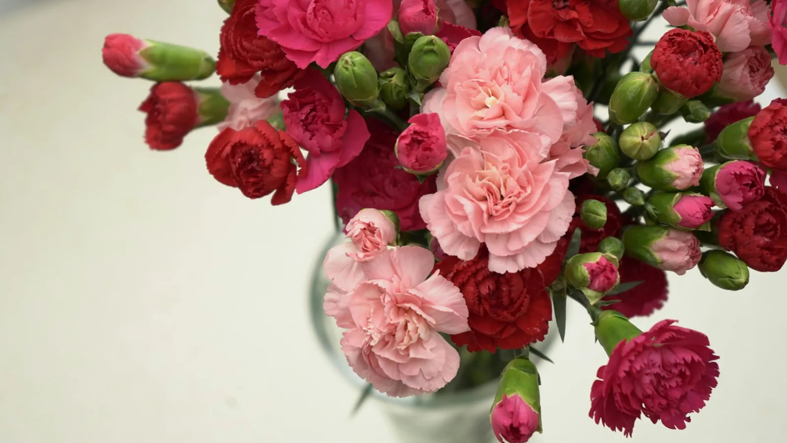 4 πανεύκολοι τρόποι να φρεσκάρετε το σπίτι την άνοιξη με μηδενικό budget