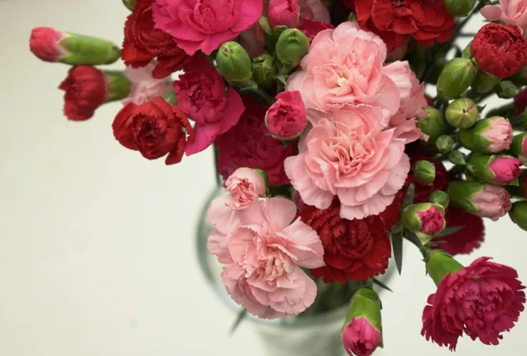 4 πανεύκολοι τρόποι να φρεσκάρετε το σπίτι την άνοιξη με μηδενικό budget