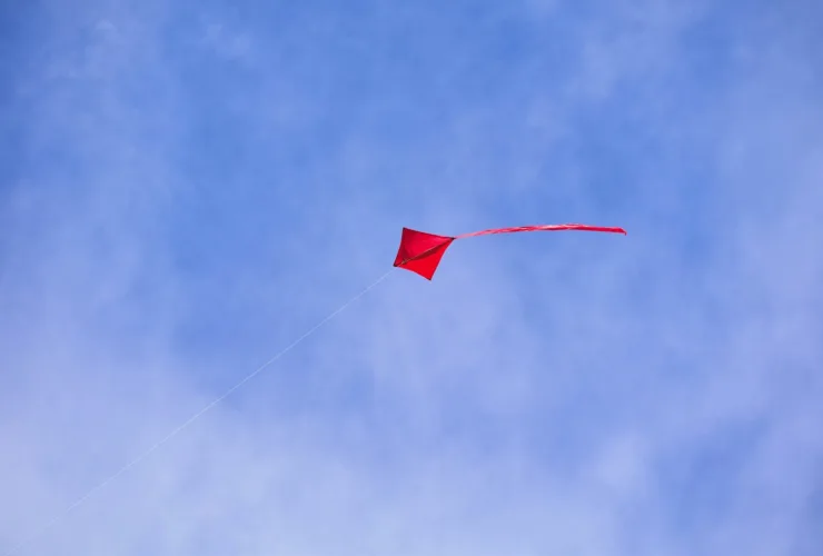 Πέταγμα χαρταετού: Τα 3 «χρυσά» μυστικά - Οι κανόνες ασφαλείας που πρέπει να γνωρίζετε