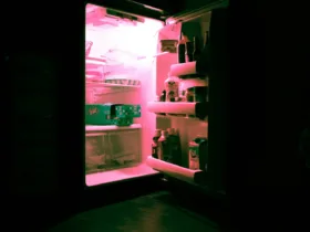 Πώς να οργανώσεις το ψυγείο σου για να μην χαλάνε τα τρόφιμα