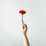 Αργία Πρωτομαγιά: Πότε μεταφέρεται, τι θα ισχύσει φέτος