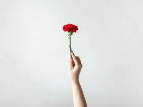 Αργία Πρωτομαγιά: Πότε μεταφέρεται, τι θα ισχύσει φέτος